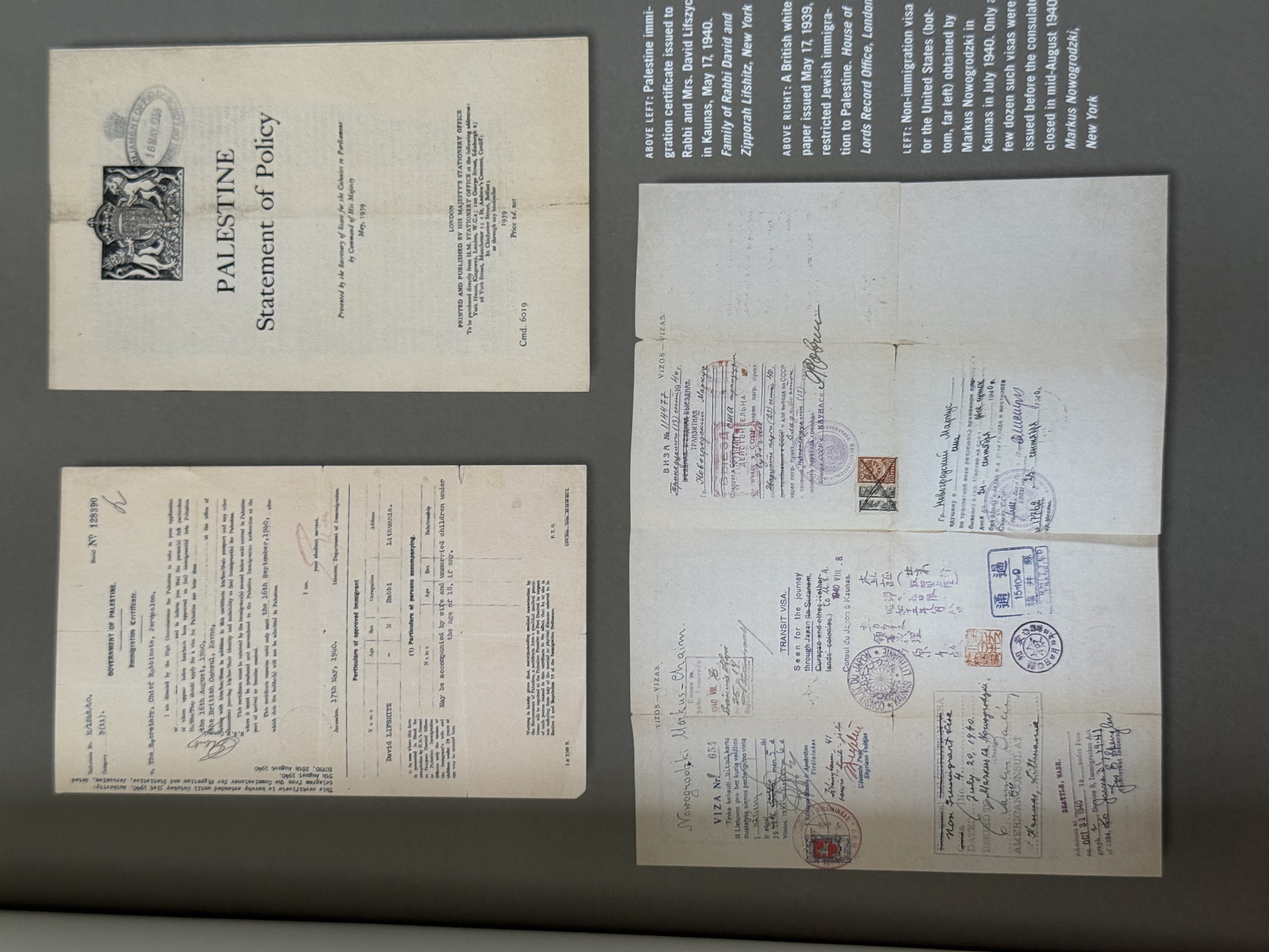 Document — Nowgrodzki Markus Chaim