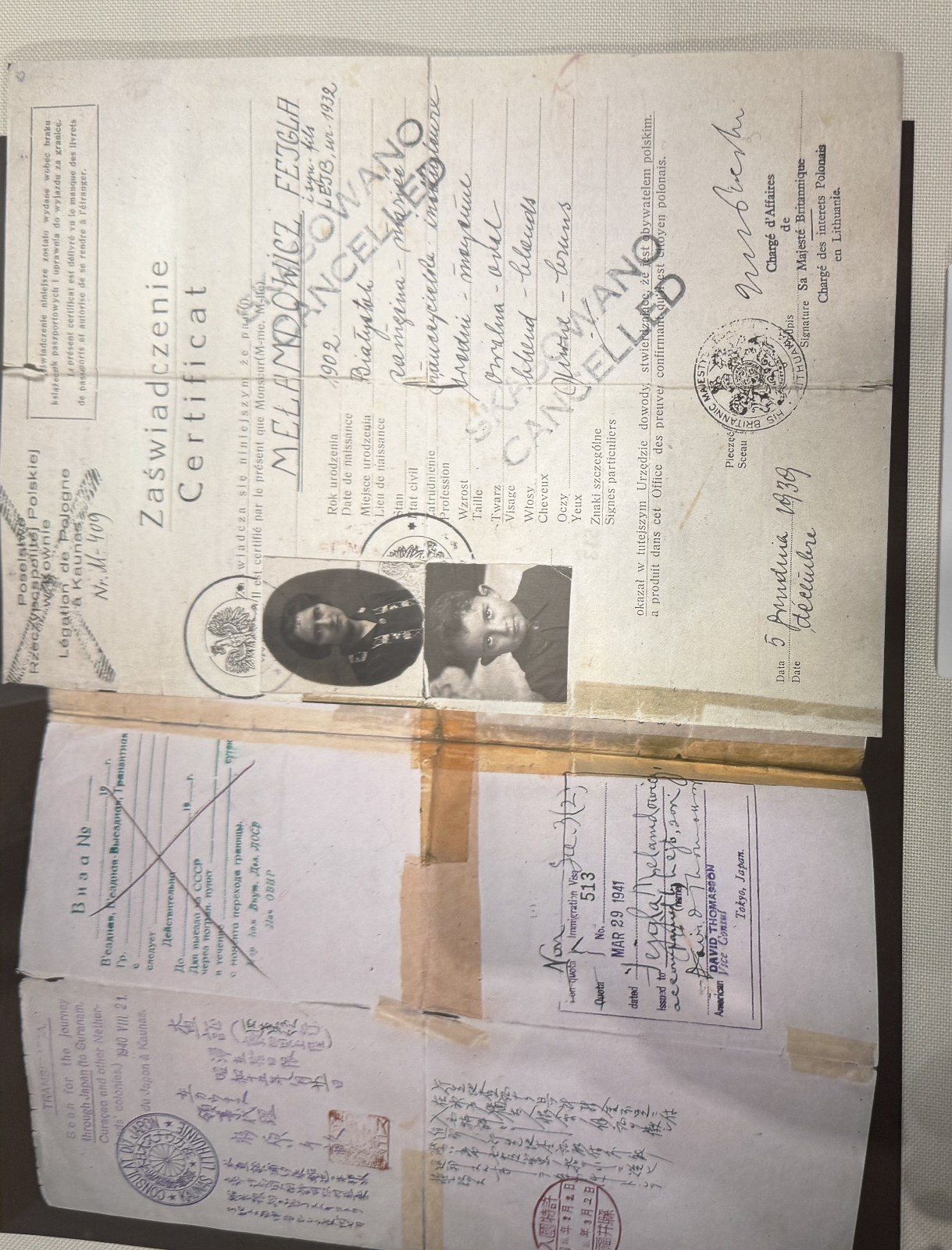 Document — Melamedowicz Fejga