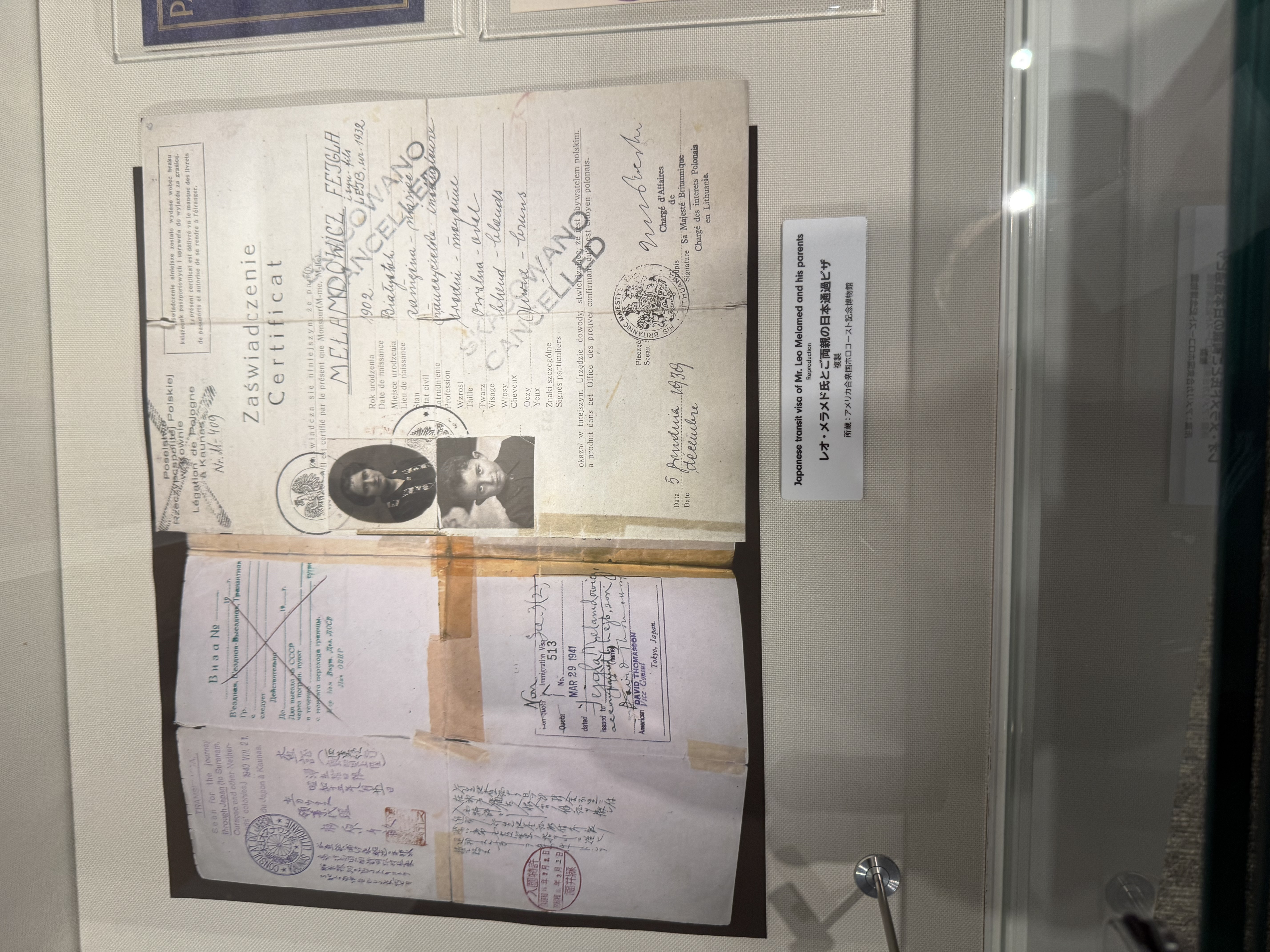 Document — Melamedowicz Fejga