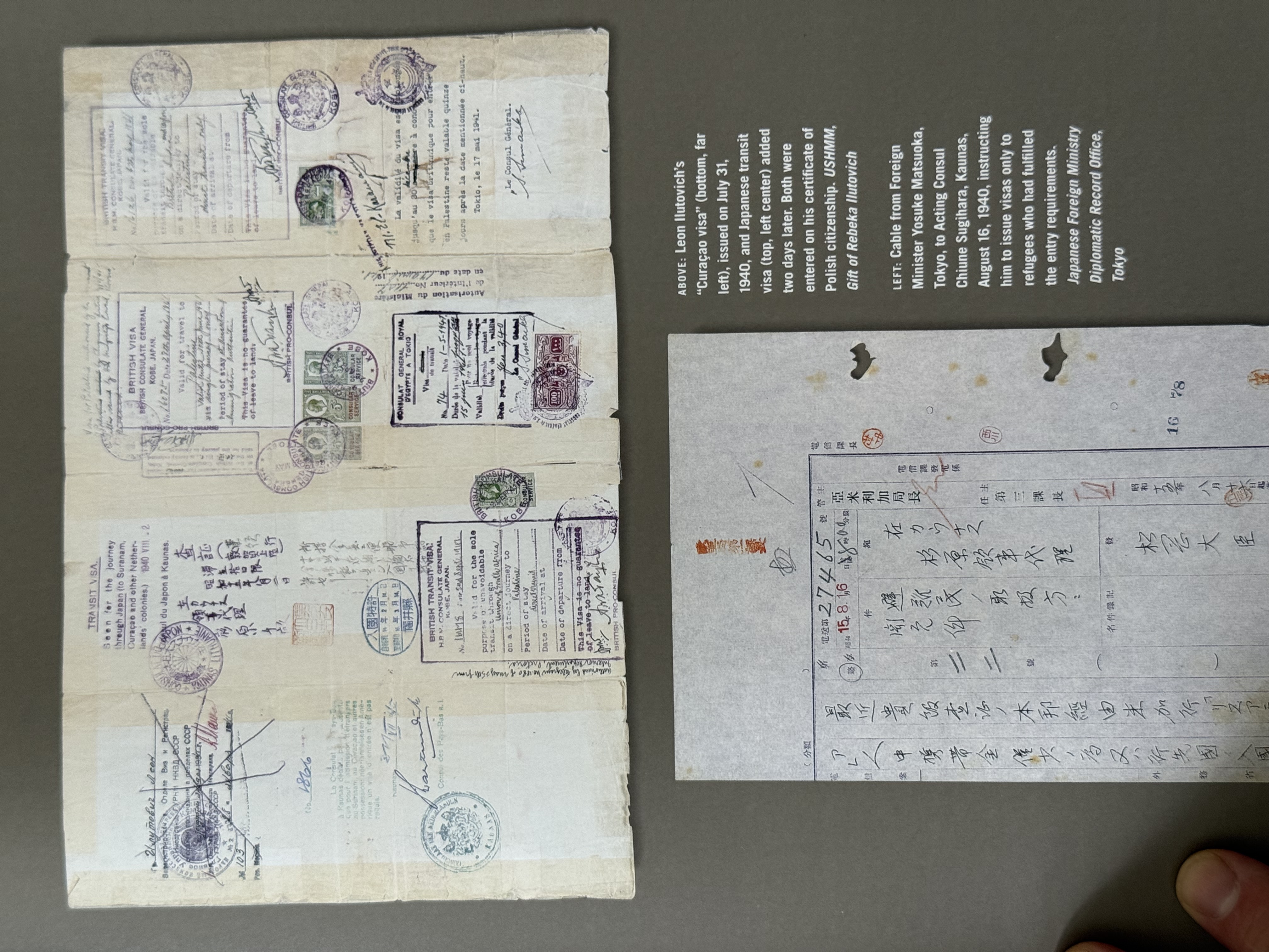 Document — Leon Ilutowicz