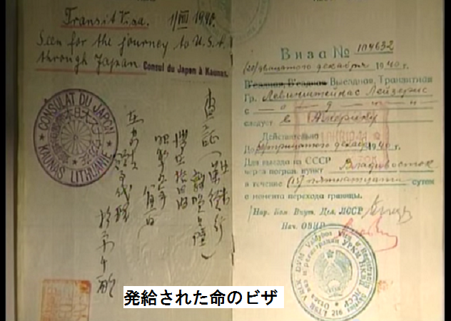 Lewinsztejn visa video still, amended to U.S.A.