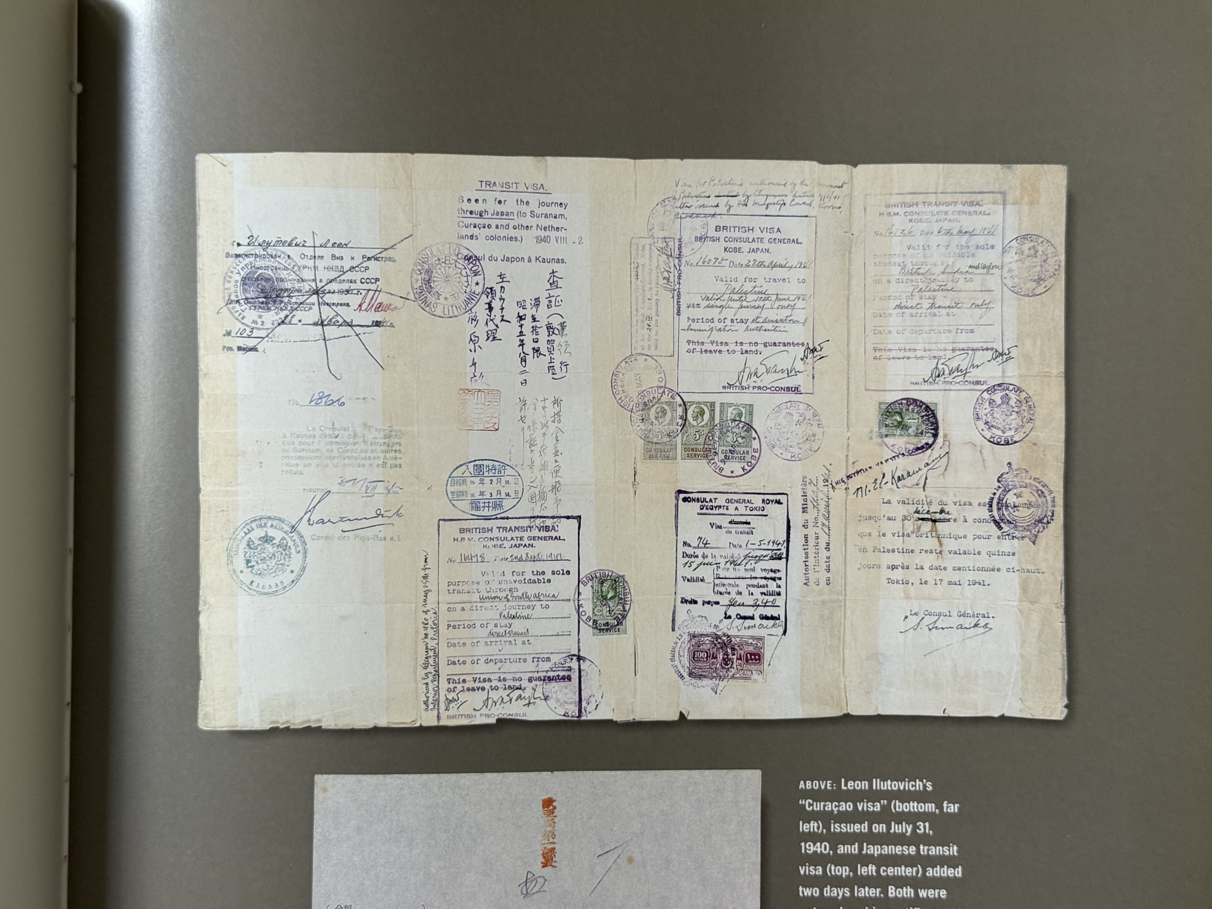 Document — Leon Ilutowicz