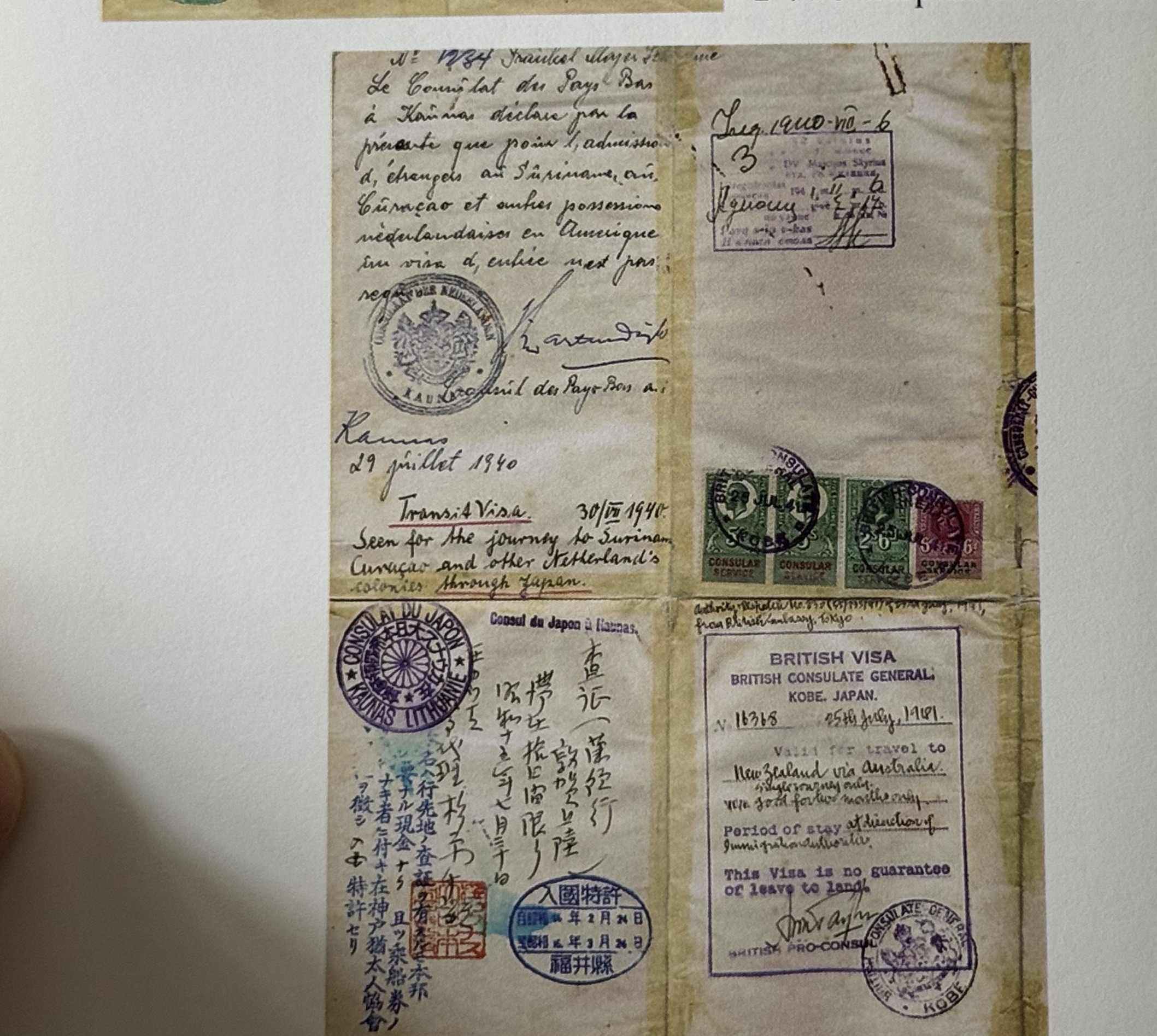 Document — Frankel Mayer Shahne
